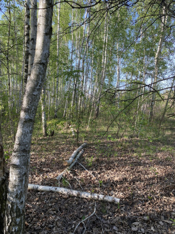 Działka Sprzedaż Milanówek Rososzańska 4