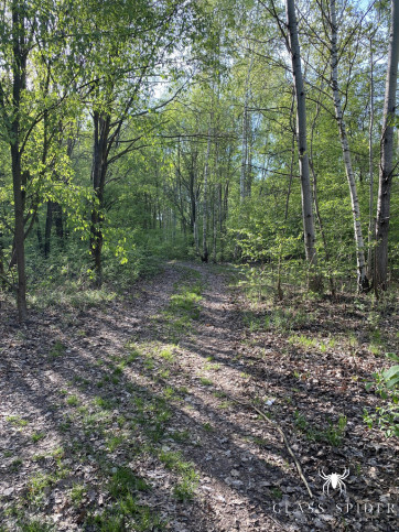 Działka Sprzedaż Milanówek Rososzańska 9