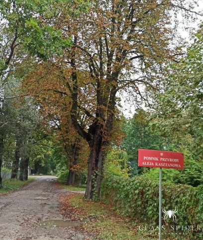 Działka Sprzedaż Milanówek Rososzańska 13
