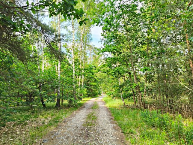 Działka Sprzedaż Strzeniówka Pruszkowska 11